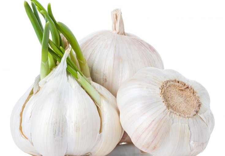 Benefits of Garlic for Better Sleep