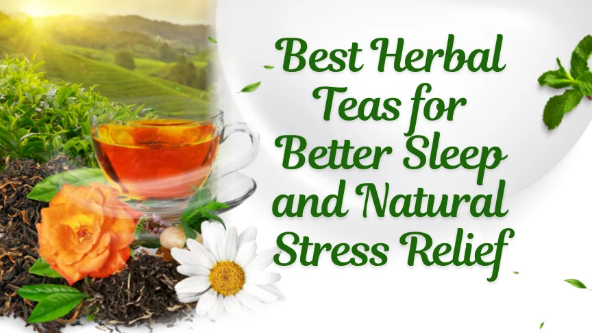 A calming mug of herbal teas for better sleep surrounded by dried lavender and chamomile flowers.