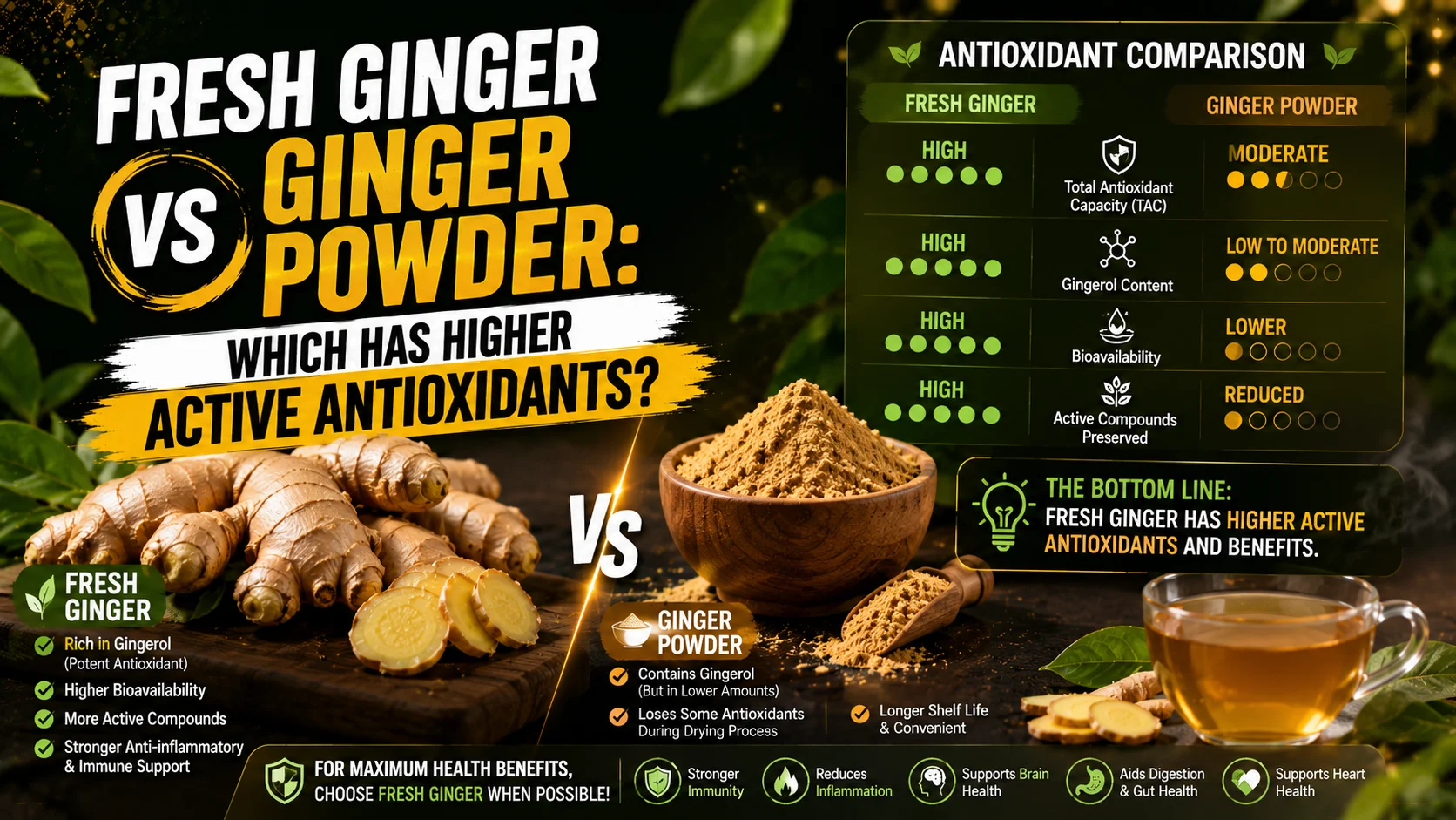 Fresh Ginger vs Ginger Powder_ Which Has Higher Active Antioxidants